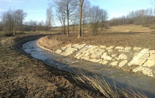 Usuwanie szkód powodziowych i zabezpieczenie przeciwpowodziowe na potoku rdzawka w KM 0+000-2+398, gm. Łapanów i gm.Trzciana, pow. Bocheński – ETAP IV W KM 0+000-1+000